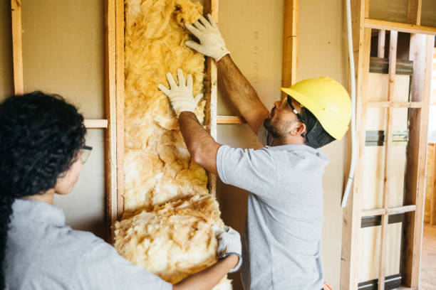 Best Spray Foam Insulation  in Arden Arde, CA